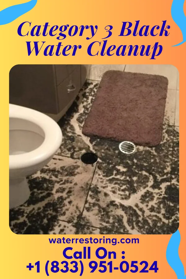 Category 3 Black Water Cleanup in Forsan, TX